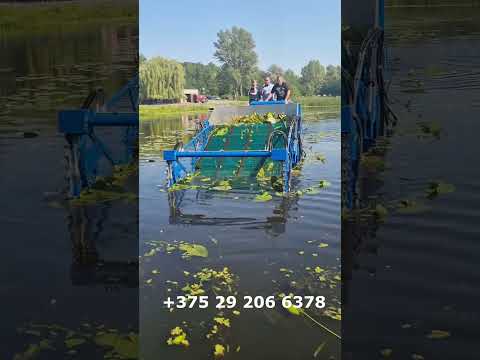 фото лодка-косилка для камыша 0