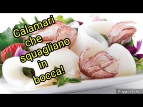 Come intenerire i calamari