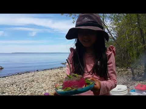 Happy birthday cake by Sara