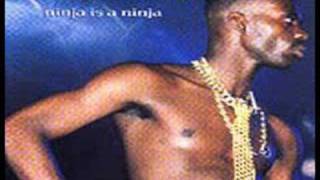 Ninja man - Reggae Sunsplash