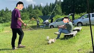 チワワのレオくんとルウくん１７～またキャンプ～