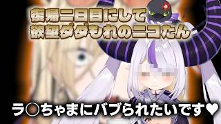 【性癖全開】復帰二日目で欲望丸出しのにこたんバブみTier表！【ホロライブ/切り抜き/Vtuber/虎金妃笑虎】
