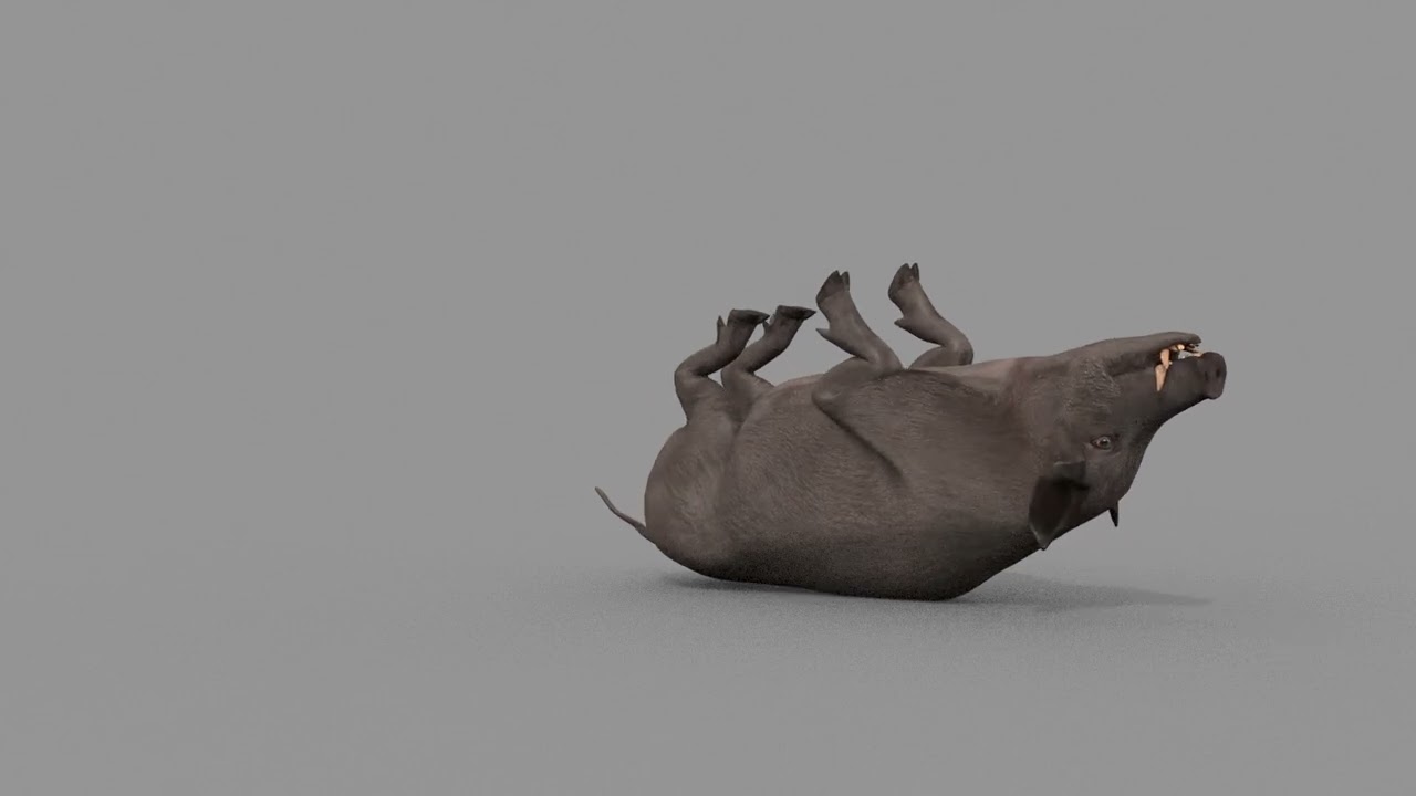 Boar Javali attacker pig - animated 3d fur model 3D Model