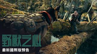 布萊德彼特極限求生!攜手狗明星演出《野獸之心》