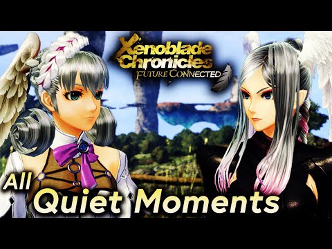 All Quiet Moments In Xenoblade Chronicles: Future Connected