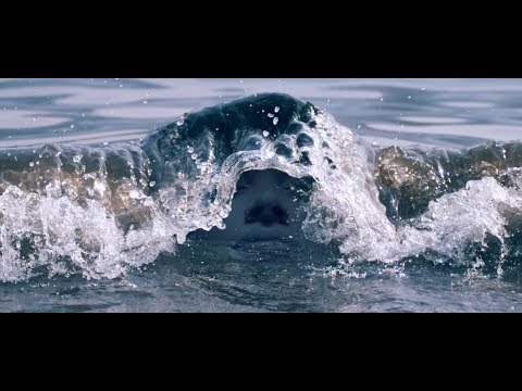 Crumb - Bones [Official Video]