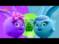 Sunny Bunnies 2015 Intro Opening