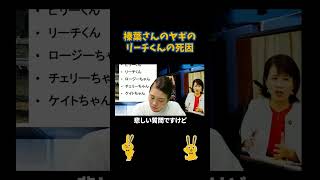榛葉さんのヤギ紹介#国民民主党 #榛葉賀津也 #ビリー#ケビン