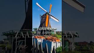 📍Zaanse Schans 🇳🇱 is just a short ride from Amsterdam and perfect for a family day trip. #travel