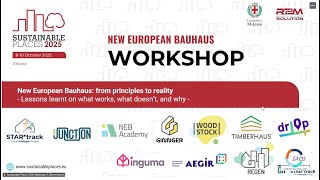 Workshop - New European Bauhaus: from principles to reality - What works, what doesn’t, and why
