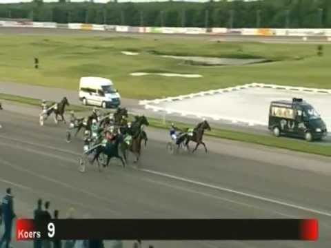 Criterium der vierjarige Hengsten en Ruins (Serie) Victoria Park Wolvega 2 juni 2012