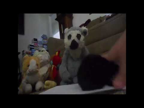 Kionzan Part 11 - Paw to Paw