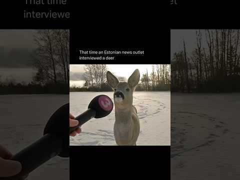 That time an Estonian news outlet interviewed a Deer