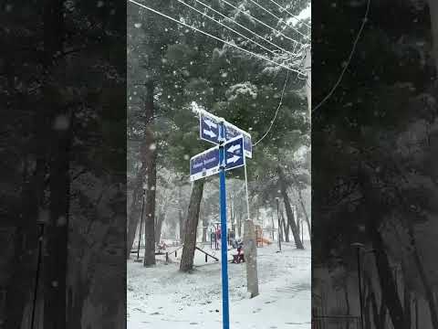 Nieve en Tricao Malal | norte de Neuquén