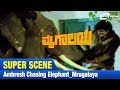 Mrugalaya ಮೃಗಾಲಯ Ambresh Chasing Elephant FEAT Ambarish Geetha