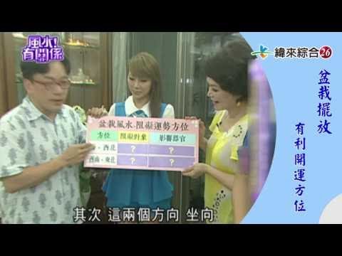 窗戶盆栽風水
