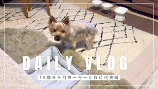 【ヨーキー】15歳６ヶ月ヨーキー ５０代夫婦  犬との暮らし　#vlog