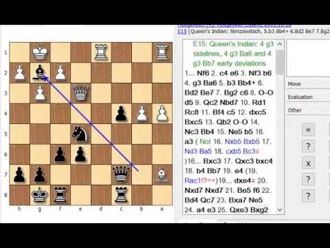 Van Wely vs Polgar, Hoogeveen 2001