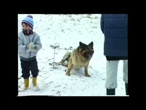 KONGOS - This Time I Won't Forget