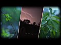 Rain Whatsapp Status Rain Aesthetic Status Barish Status Rain Day Nature Whatsapp Status