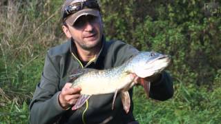 Ogi´s Pike Session 2014-15