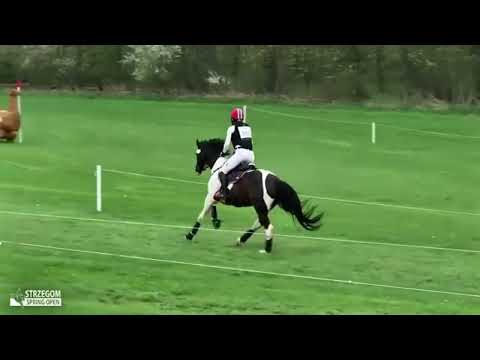 Heidi Bratilie Larsen & Sir Cisco (Sancisco x Arpeggio) - Strzegom Spring Open