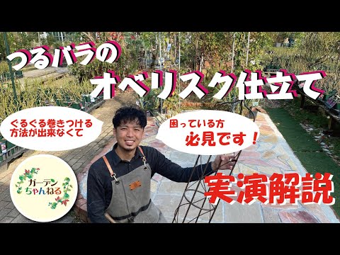 イバラを破壊するにはどうすればよいですか？イバラに対して塩をかけるのは「はい」ですか、「いいえ」ですか？永続的な結果を得るには何に賭けるべきでしょうか?  庭園