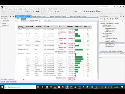 MS SSRS tutorial on adding data bars and indicators (cell graphics)