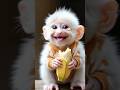 Monkey Asks For Ice Cubes Shortvideo Comedy Funny