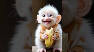 Download lagu Monkey Asks for Ice Cubes #shortvideo #comedy #funny mp3