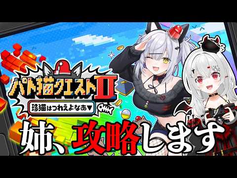 【 #パト猫クエスト 】リス猫代表（自称）としてお姉ちゃんを攻略します！【 #新人vtuber / #宵吸あけル 】