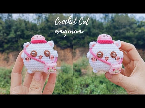 Mèo Đội Mũ Vịt