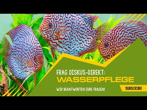 Die WASSERPFLEGE / Wie bereite ich mein Aquarienwasser auf?