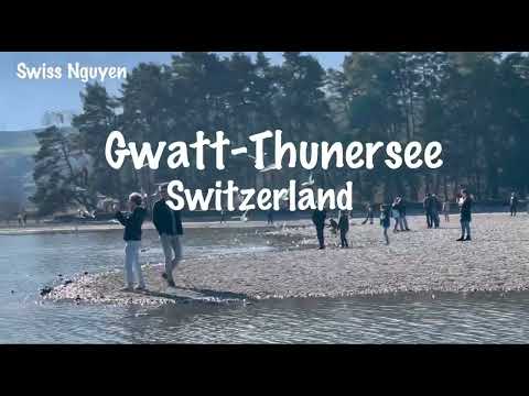 Gwatt _Thunersee der Schweiz/ Swiss view ​⁠@Switzerlandtravel26