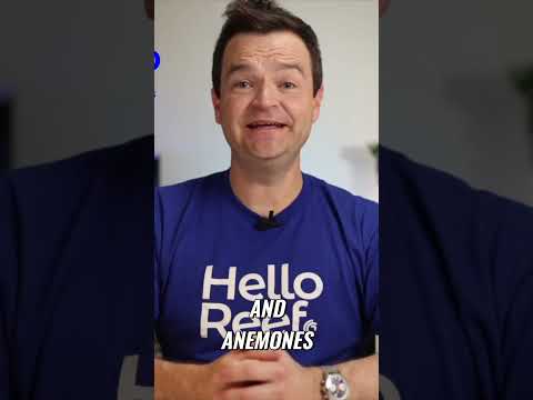 What Fish Can Go In A 15 Gallon Aquarium?