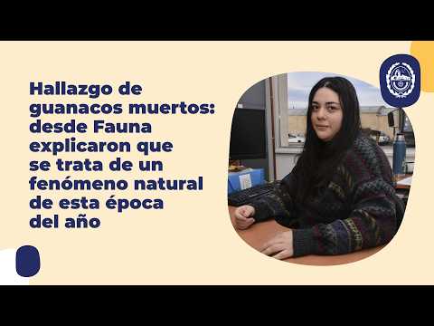 Portada video