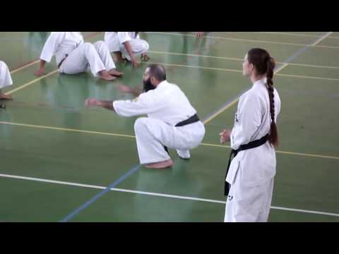 ALEJANDRO NAVARRO EN ESTADO PURO