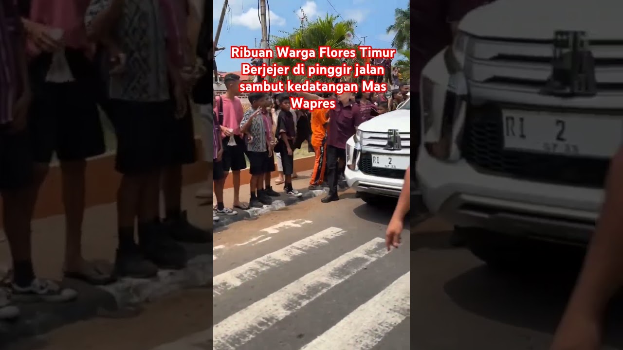Begini Warga Flores Timur Sambut Kedatangan Mas Wapres Gibran #gibran #prabowo #nttpride #viral