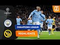 HAALAND DOET WAT HIJ ALTIJD DOET!?? | Man City vs Young Boys | Champions League 23/24 | Samenvatting