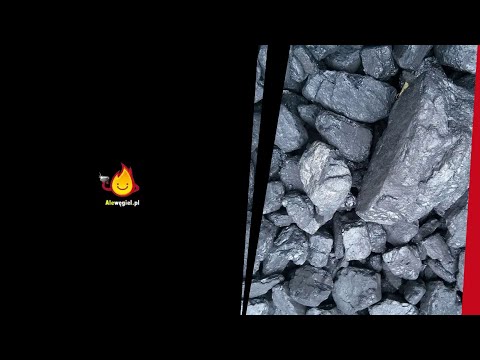 Zobacz filmy, Składwęgla.com Sp. z o. o., Łódź