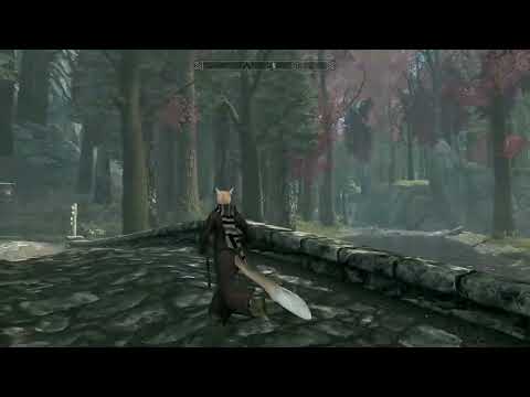 Skyrim in the Fifth Era: The Adventures of a Lilmothiit. Part2.