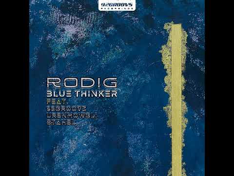 PREMIERE: RØDIG - Blue Thinker (92Groovz Remix)