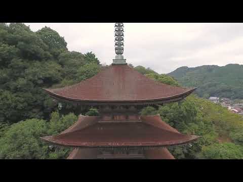 やまぐち映像図鑑 NO.004 瑠璃光寺五重塔［山口市］| Rurikoji Temple Five Storied Pagoda [ Yamaguchi-City ]