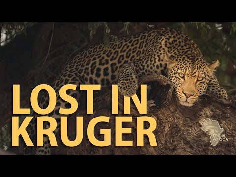 Is KRUGER NATIONAL PARK the GREATEST? - Lost in Kruger Intro (4K)
