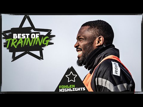 Best of Training | Januar | FohlenInsights