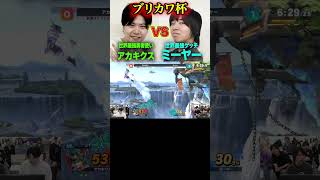 #ブリカワ #ブリとカワウソ #スマブラ #スマブラsp