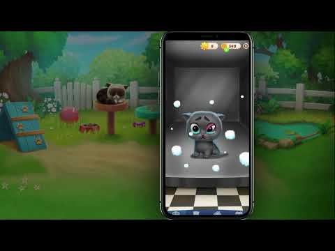 Words & Animals: Crossword Video