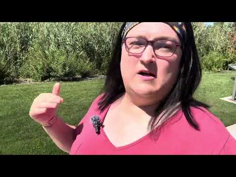 Day 226: Transforming with Every Step | Monday Walk with M&M (#thatonecouplewhowalks)