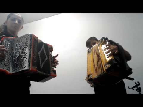 AULAS DE CONCERTINAS - Batuquinho