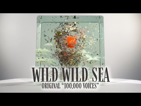 Jacob Collier - Wild Wild Sea (Original "100,000 Voices") [Visualiser]